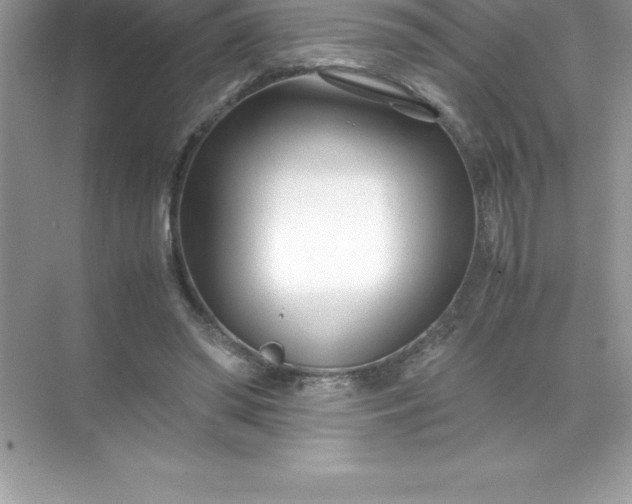 X0000071950398200607212232