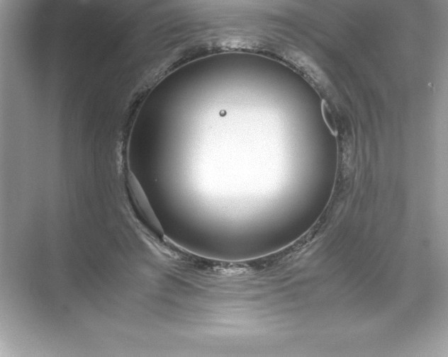 X0000071950401200607212232