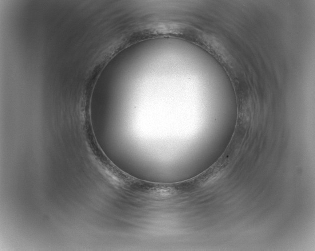 X0000071950402200607212232