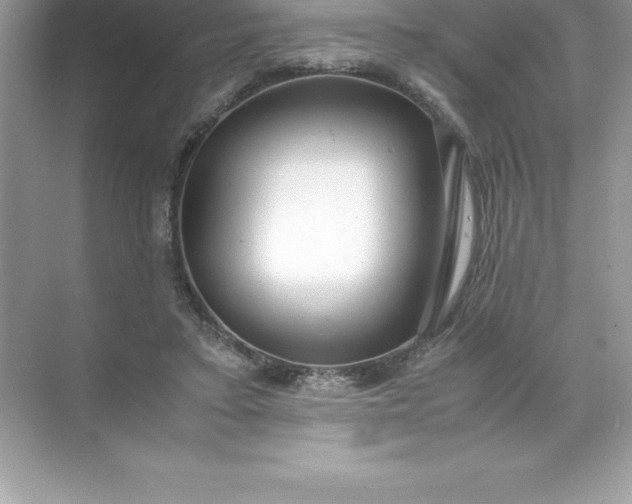 X0000071950403200607212232