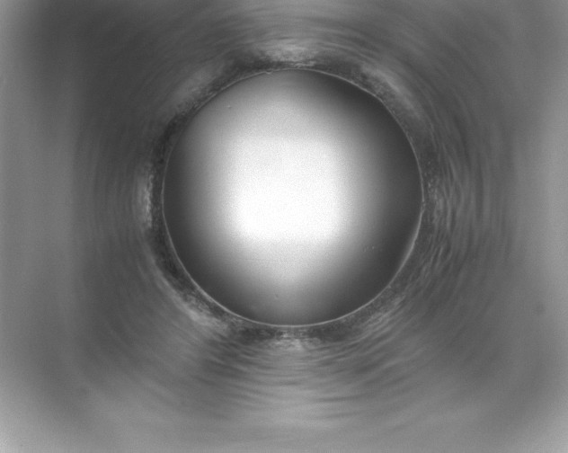 X0000071950404200607212232