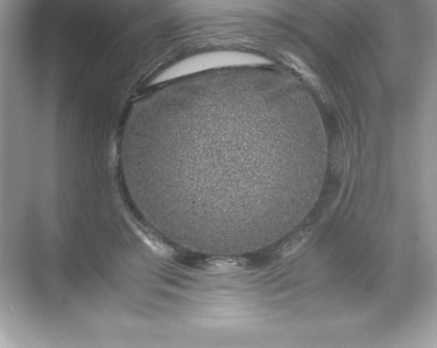 X0000071950405200607212232