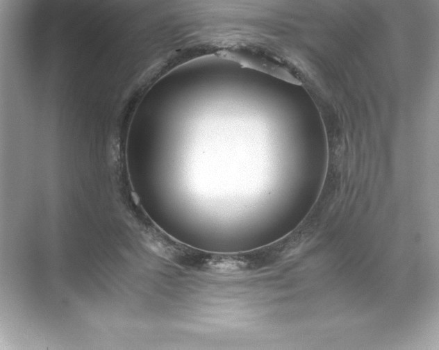 X0000071950407200607212232