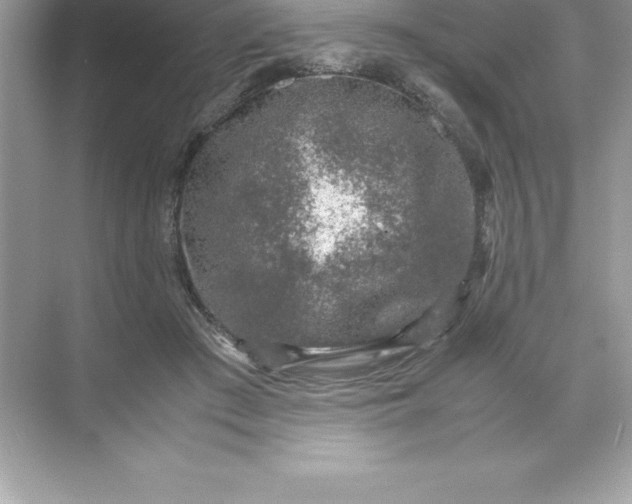 X0000071950409200607212232