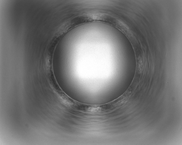 X0000071950410200607212232