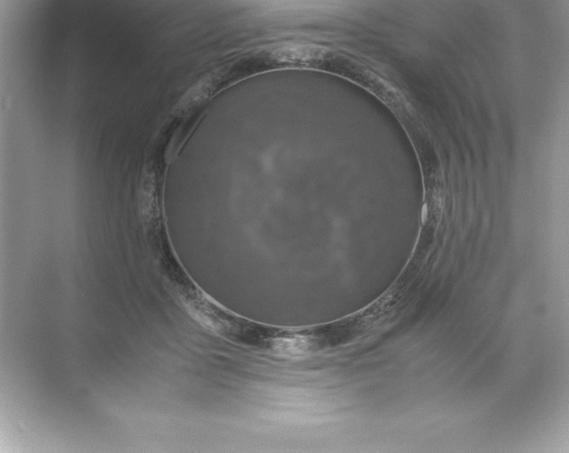 X0000071950411200607212231