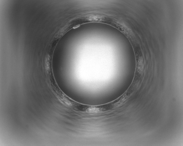 X0000071950413200607212231