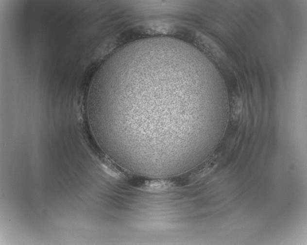 X0000071950414200607212231