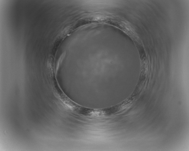 X0000071950415200607212231