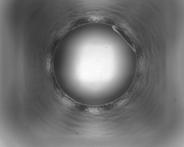 X0000071950417200607212231