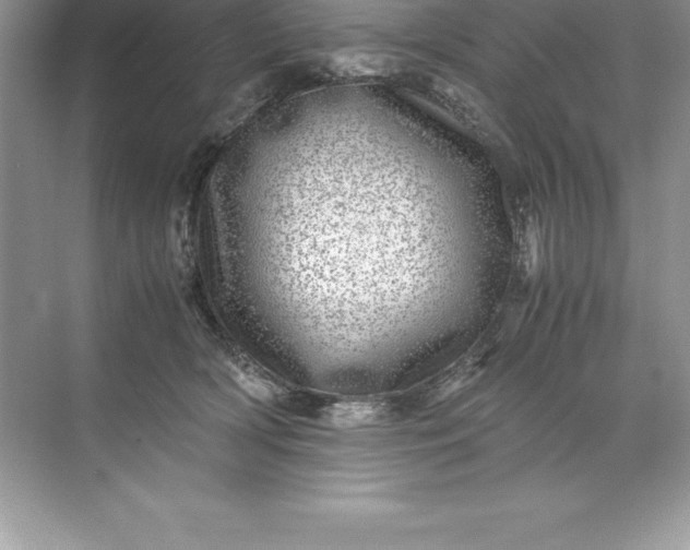 X0000071950418200607212231