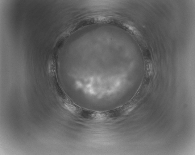 X0000071950419200607212231