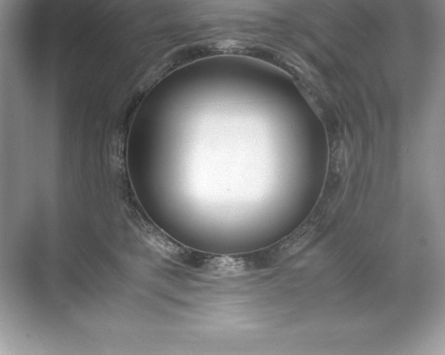 X0000071950421200607212231