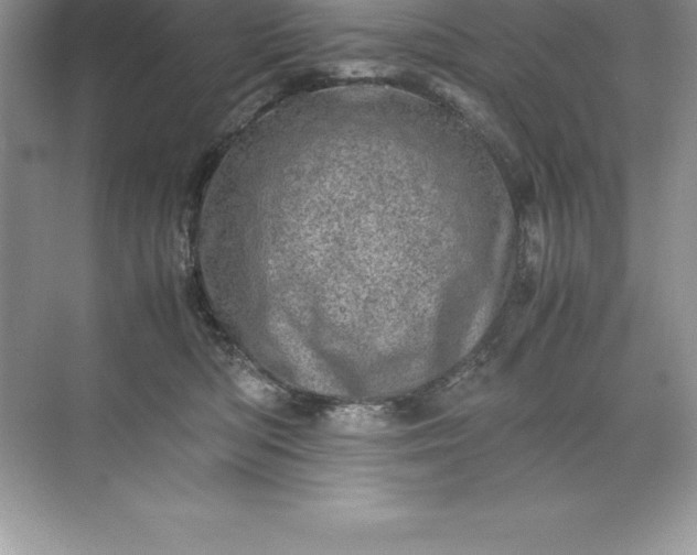 X0000071950422200607212231