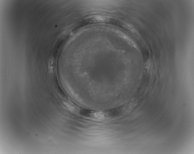 X0000071950423200607212231