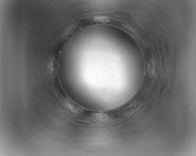 X0000071950424200607212231