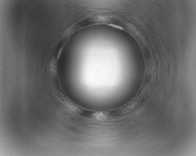 X0000071950425200607212231