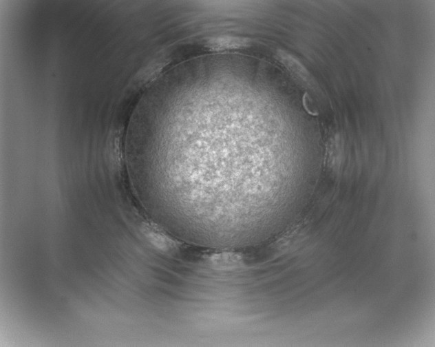 X0000071950426200607212231