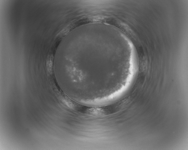 X0000071950427200607212231