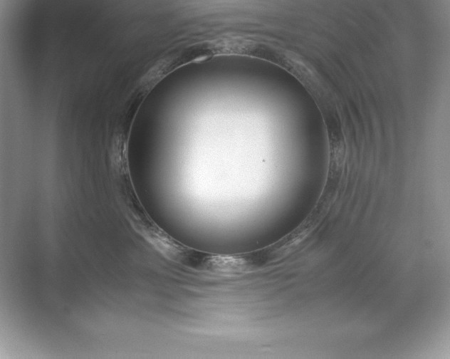 X0000071950429200607212231