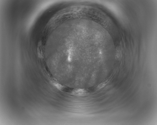 X0000071950431200607212231