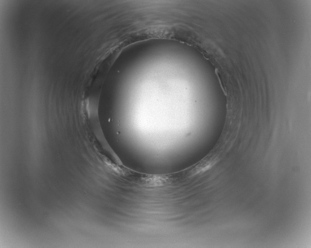 X0000071950432200607212231