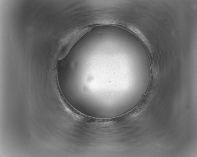 X0000071950433200607212230