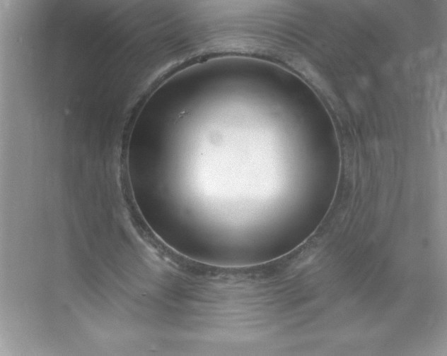 X0000071950434200607212230