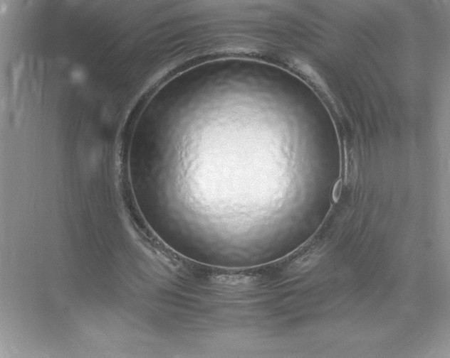 X0000071950435200607212230