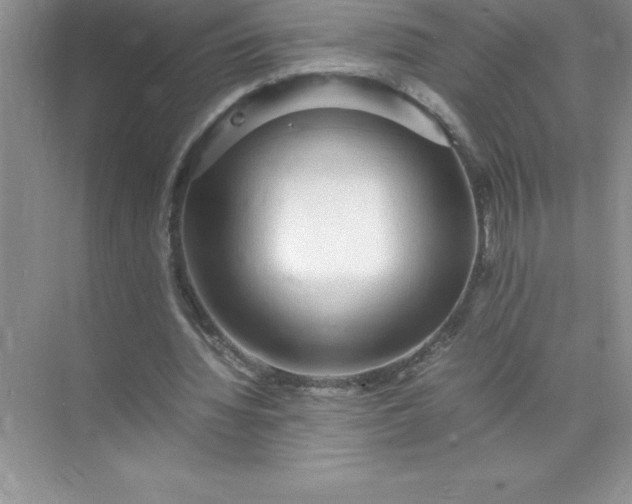 X0000071950436200607212230