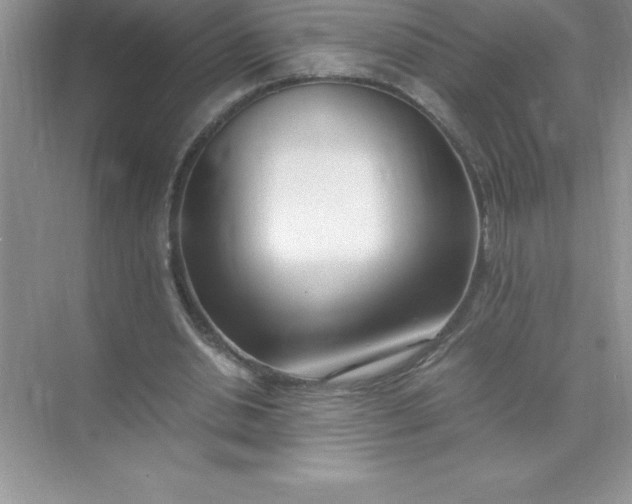 X0000071950438200607212230