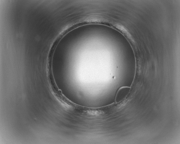 X0000071950439200607212230