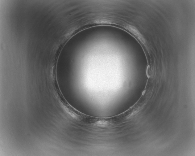 X0000071950441200607212230