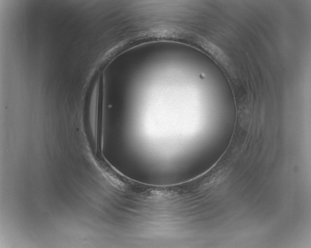 X0000071950442200607212230