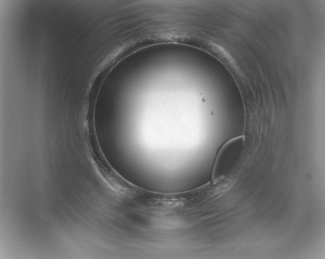 X0000071950443200607212230