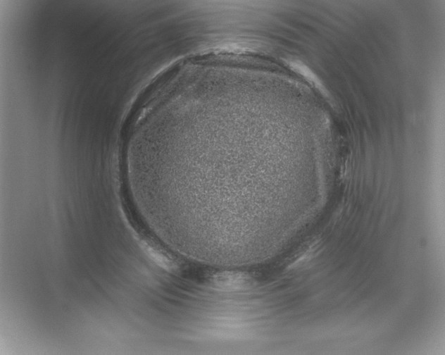 X0000071950444200607212230