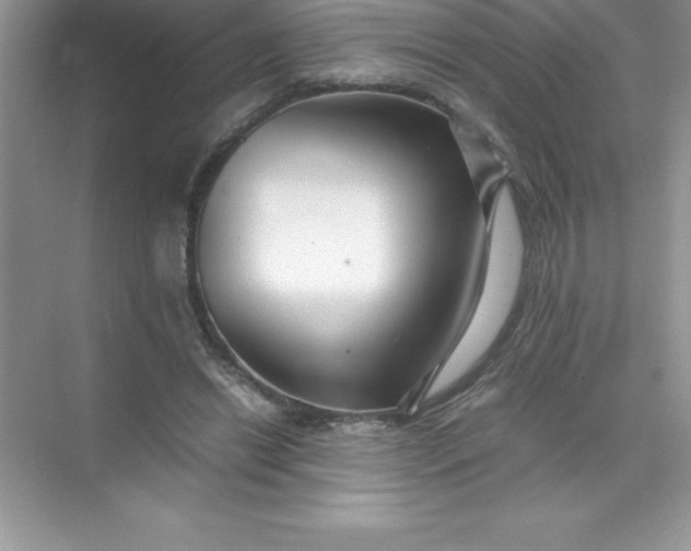 X0000071950446200607212231