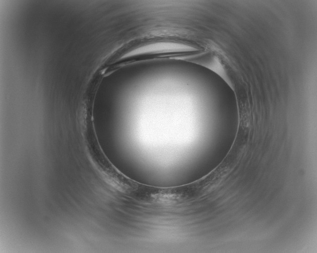 X0000071950448200607212231