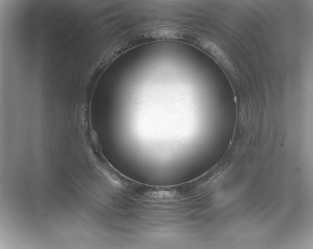 X0000071950449200607212231