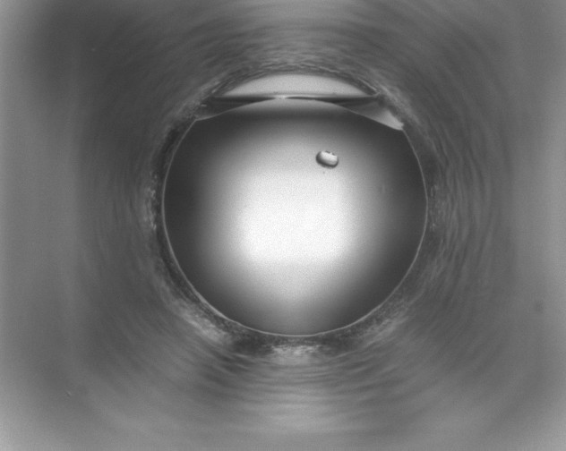 X0000071950450200607212231