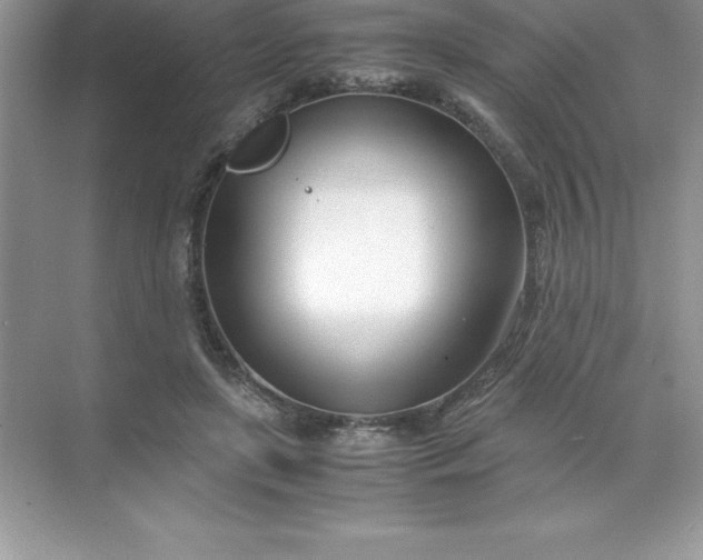 X0000071950451200607212231