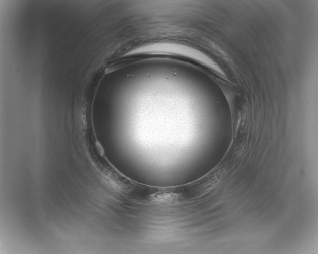 X0000071950452200607212231