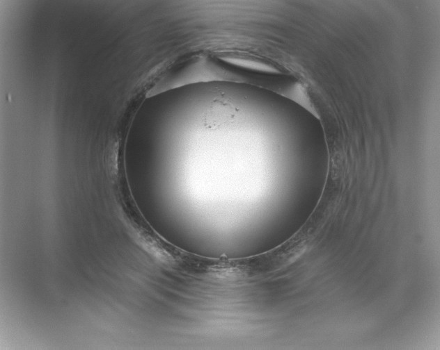 X0000071950454200607212231