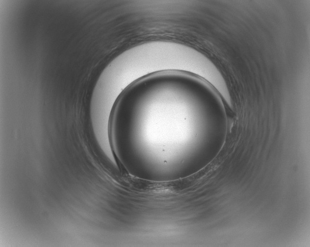 X0000071950456200607212231