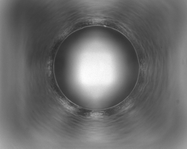 X0000071950462200607212231