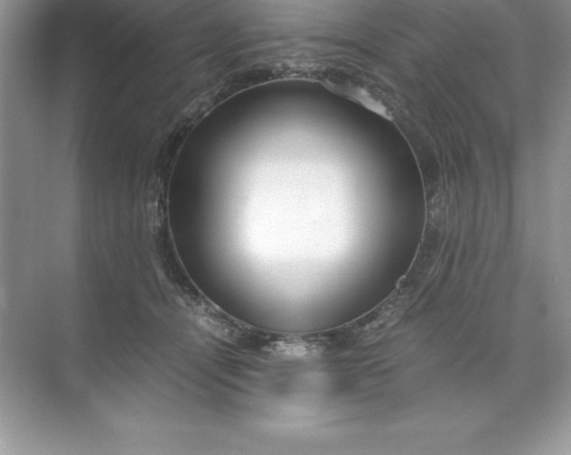 X0000071950464200607212231