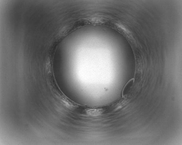 X0000071950465200607212231