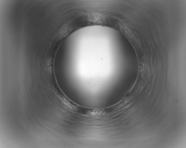 X0000071950466200607212231