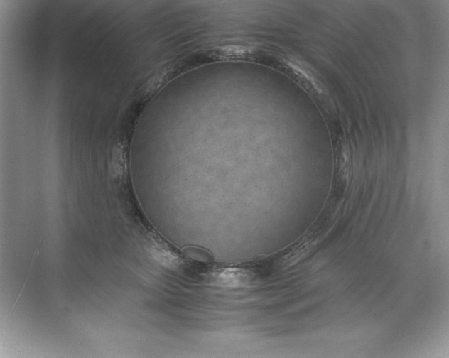 X0000071950467200607212231