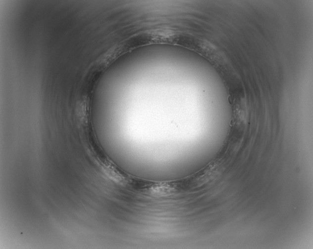 X0000071950468200607212231